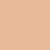 Beige_1272