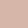 Light_Taupe_531